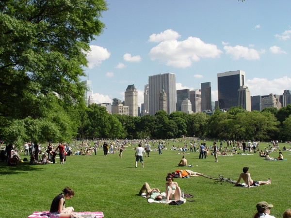 What To Do in Central Park: A Walking Tour