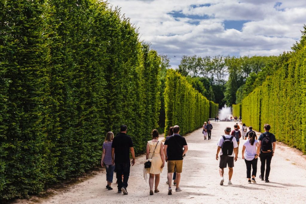 A group of people walking inside the garden. 