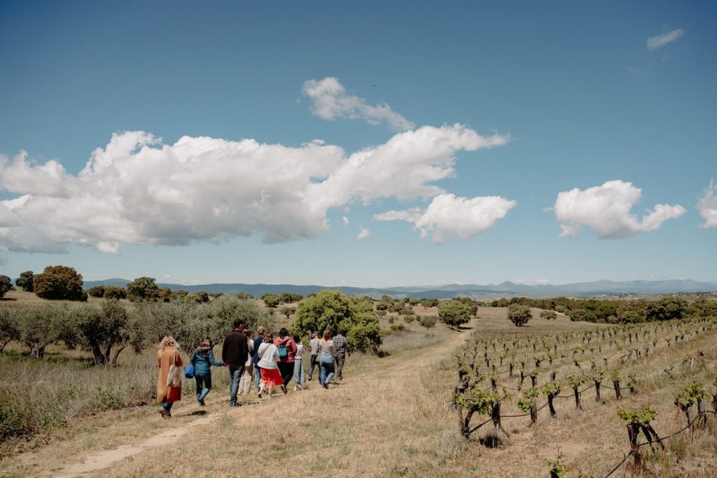 A group of people walking through a Spanish vineyard learning about Spanish wine.