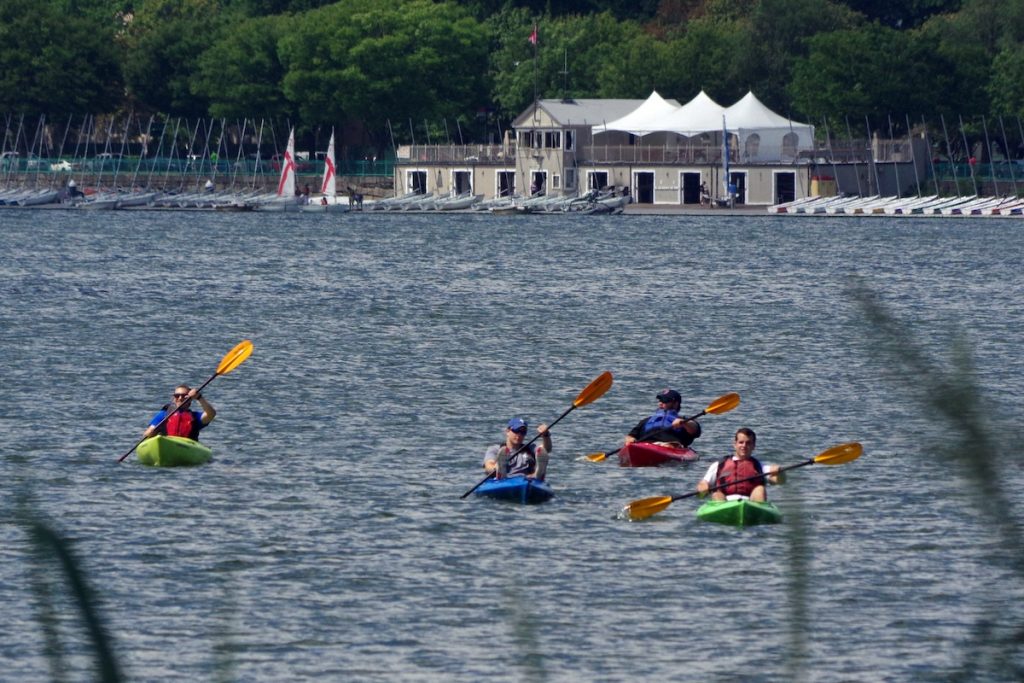 people kayaking on a river