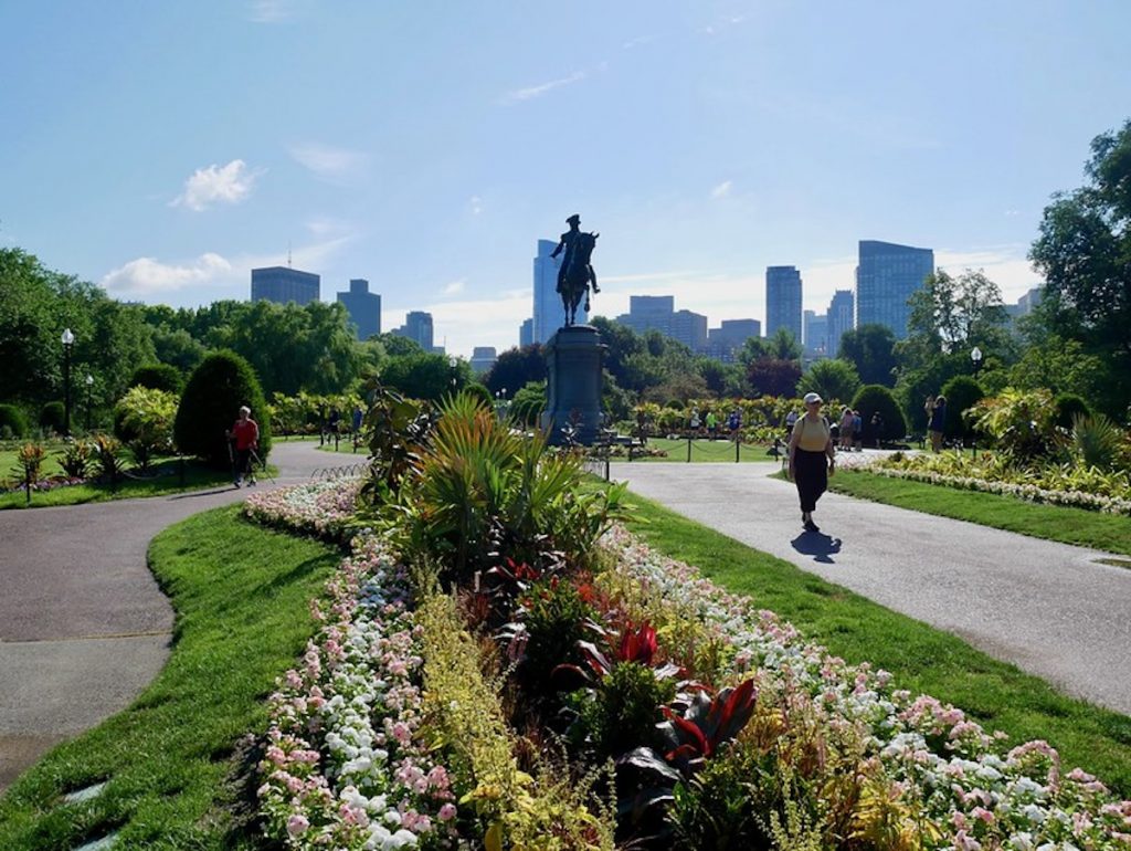 Morning walk in the park during Boston in Spring