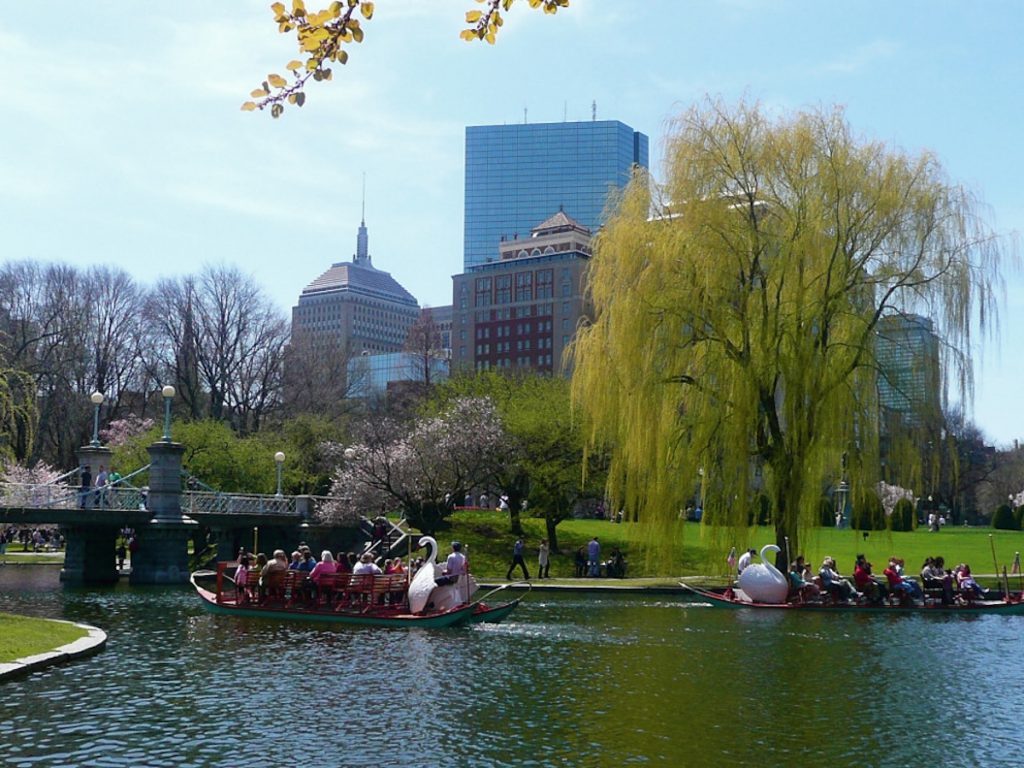 people on a lake in Boston