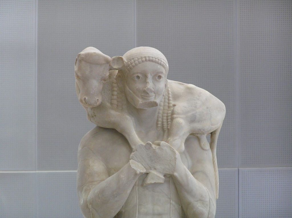 The calf-bearer statue at the Acropolis Museum. 
