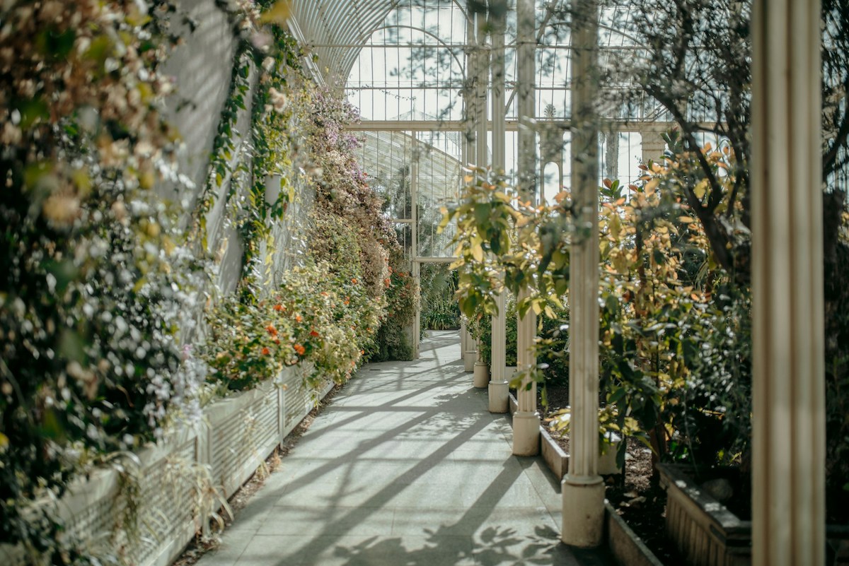 National Botanic Gardens Dublin