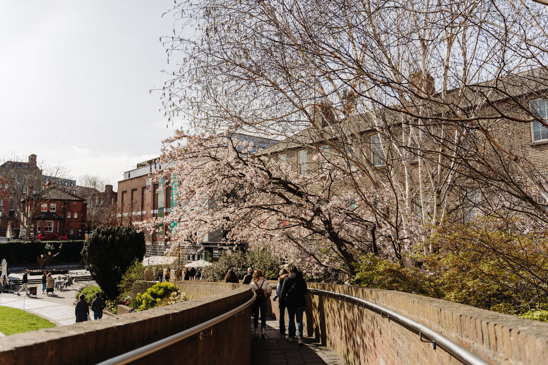 Spring in Dublin, the best time to visit Dublin and its parks