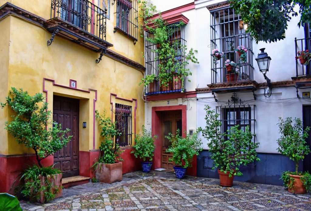 Small corner with colorful walls and plants