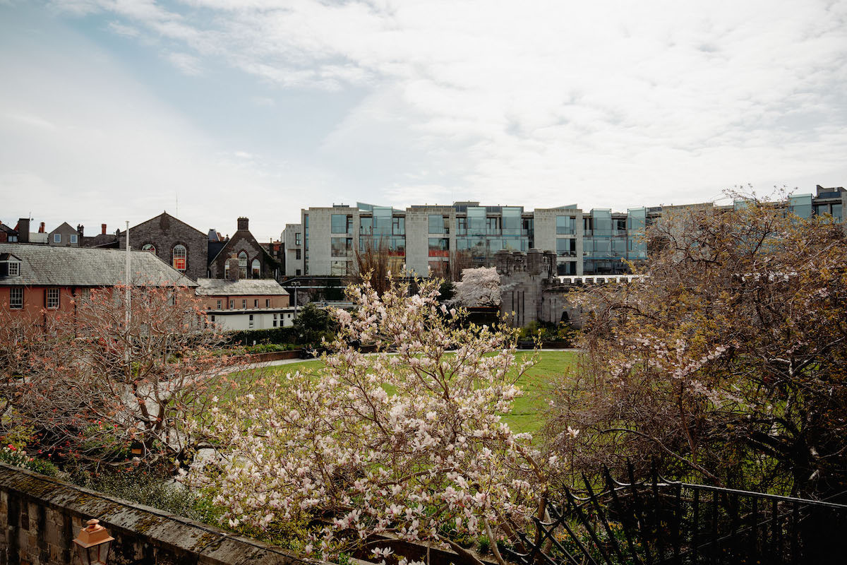 Dublin landscape with views to St Patrick's Cathedral