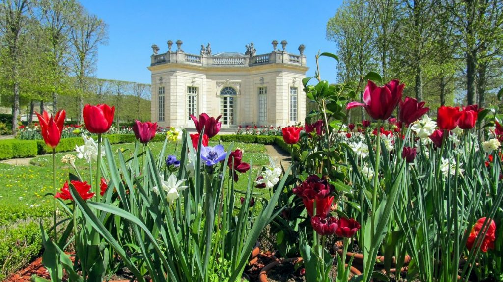 Flowers in the garden at the Versailles palace. 