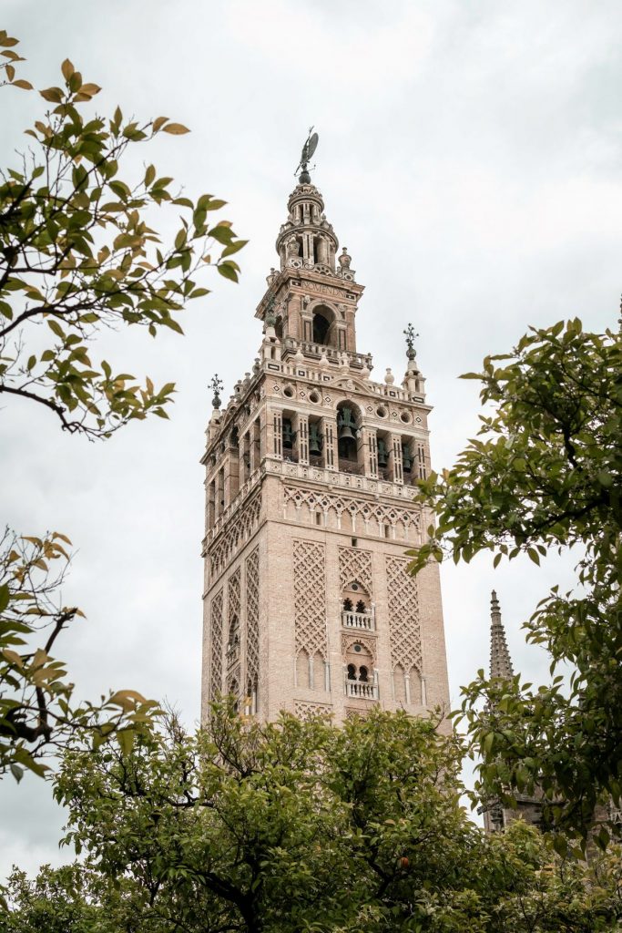 View of the Giralda through trees. 