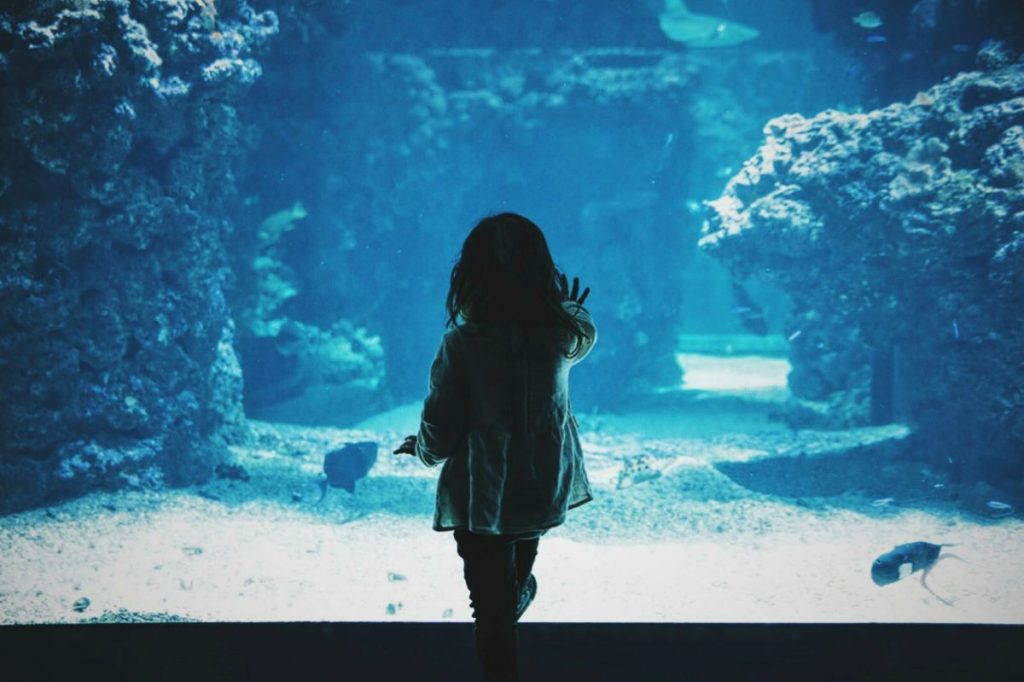 A little girl at an aquarium. 