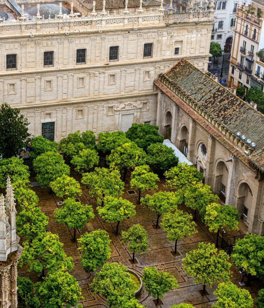 Ariel view of Patio de los Naranjos in Seville. 